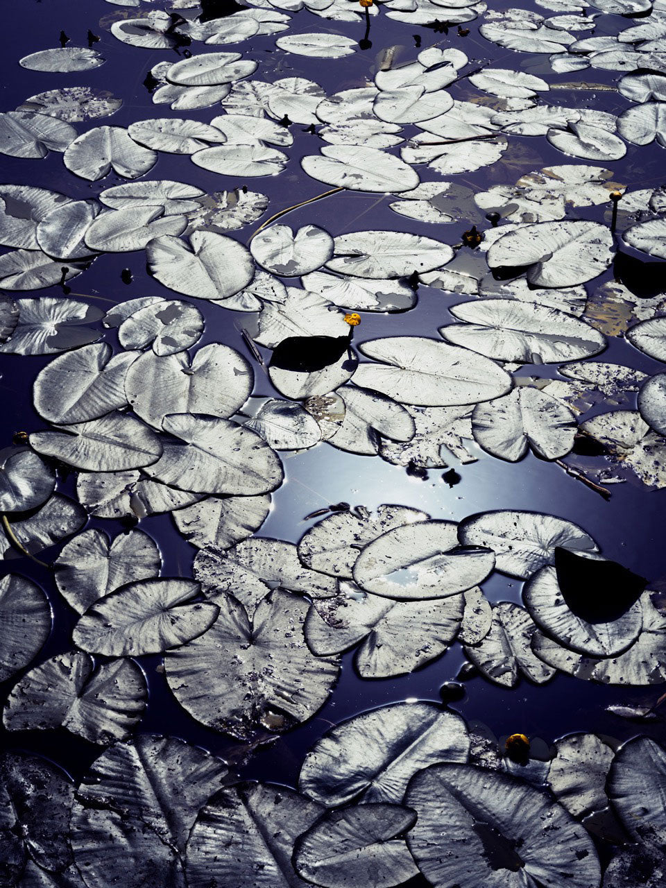 Artdoc Photography Magazine