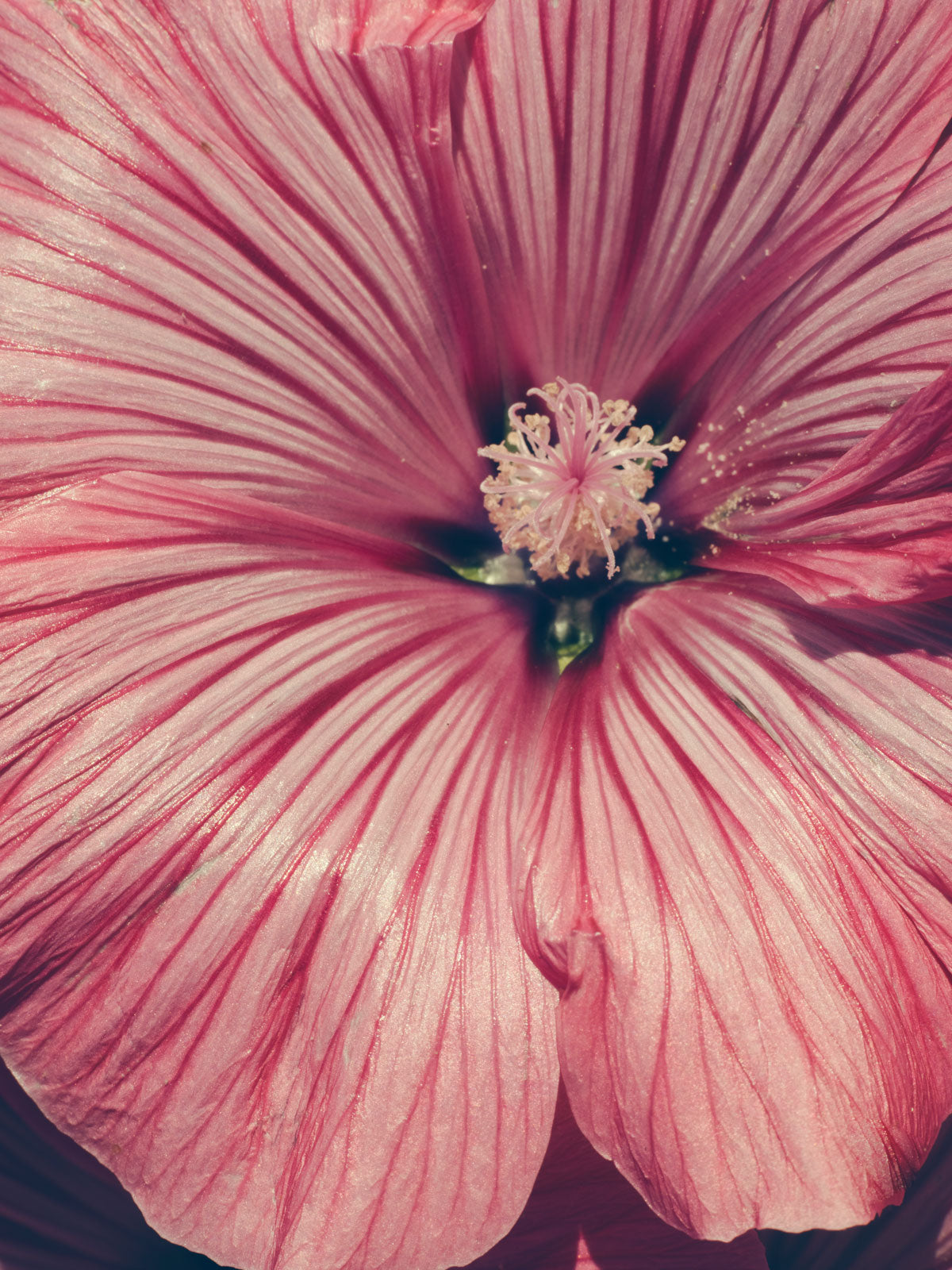 Wenn die Kräfte schwinden – die Natur als Hoffnung