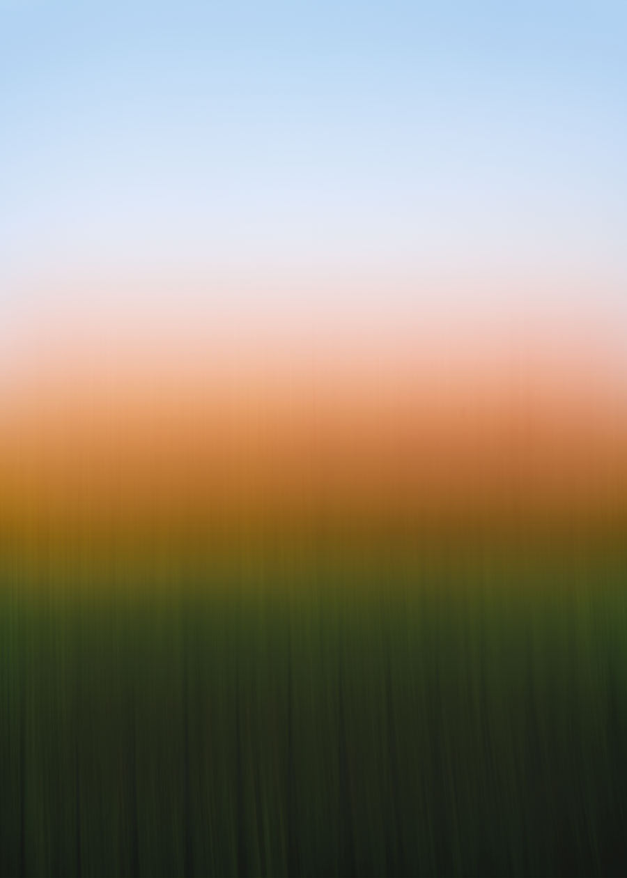 The Independent Photographer / Editor´s Pick