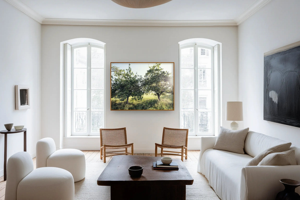Orchard Light – Naturporträt von Sonja Priller in einem hellen Wohnzimmer
