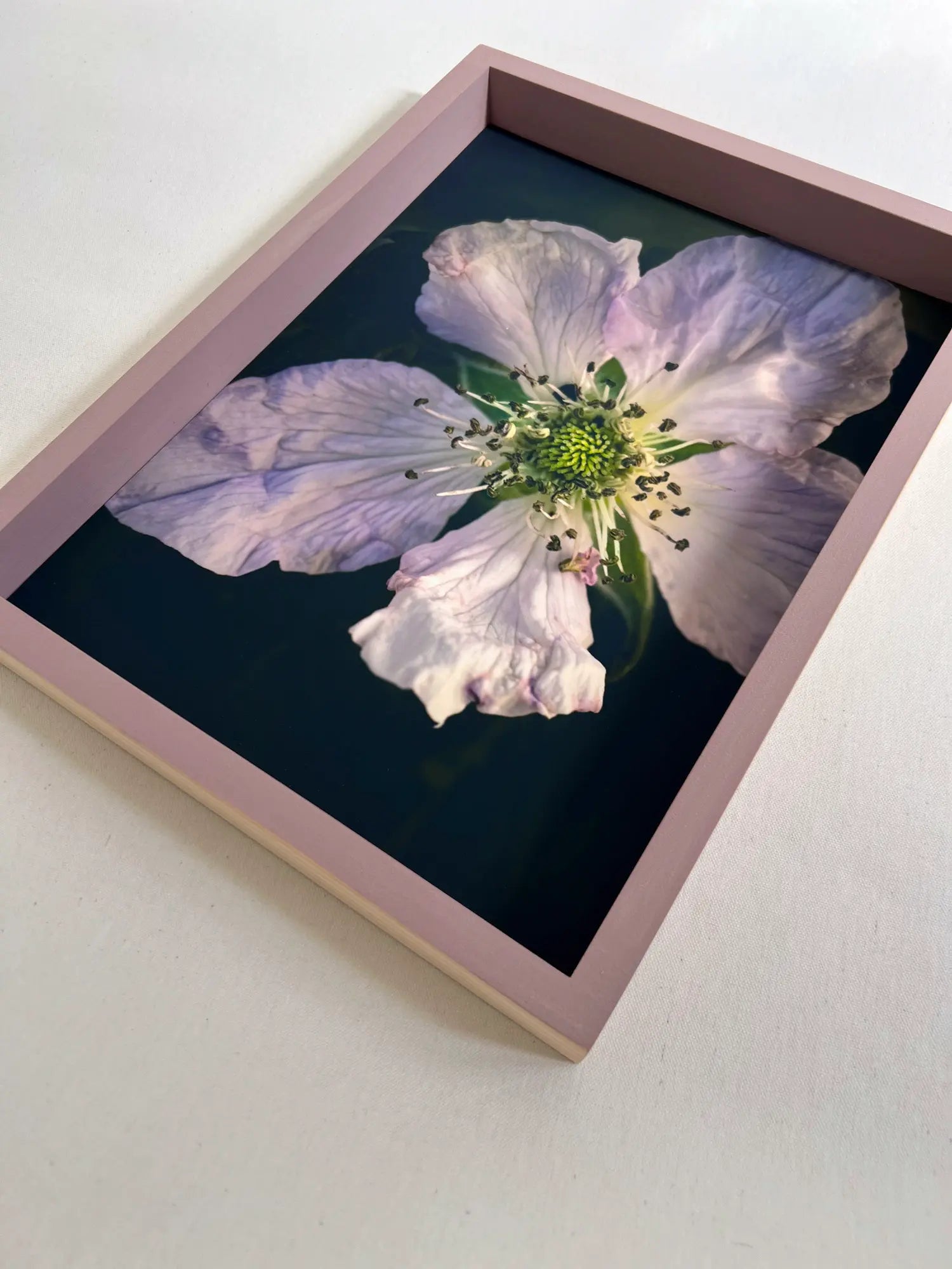 Bloom Pieces