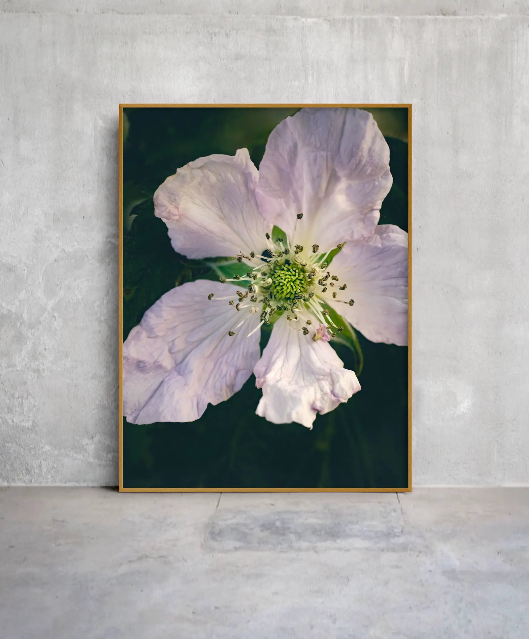 Botanical