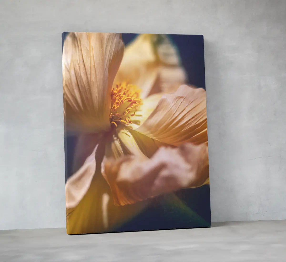 Detailreiche Makrofotografie einer zarten gelb-rosafarbenen Blüte mit feinen, lichtdurchfluteten Blütenblättern – ästhetische, beruhigende Naturfotografie für Wandkunst in Praxen, Therapiezentren und modernen Interiors; Fine Art Print auf Leinwand, matt.