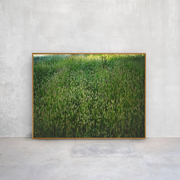 Ruhige Naturfotografie einer dichten grünen Wiese mit sanftem Lichtspiel – beruhigende, ästhetische Wandkunst für Praxen, Therapiezentren und moderne Interiors; Querformat Fine Art Print auf Alu-Dibond mit Holzrahmen.