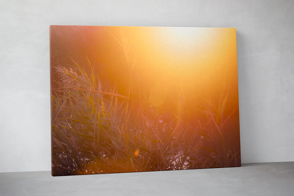 Sanftes, warmes Naturmotiv mit goldenem Licht und feinen Gräsern, das Ruhe und Weite vermittelt – beruhigende, ästhetische Wandkunst für Praxen, Therapiezentren und moderne Interiors; Querformat Fine Art Print auf Leinwand.