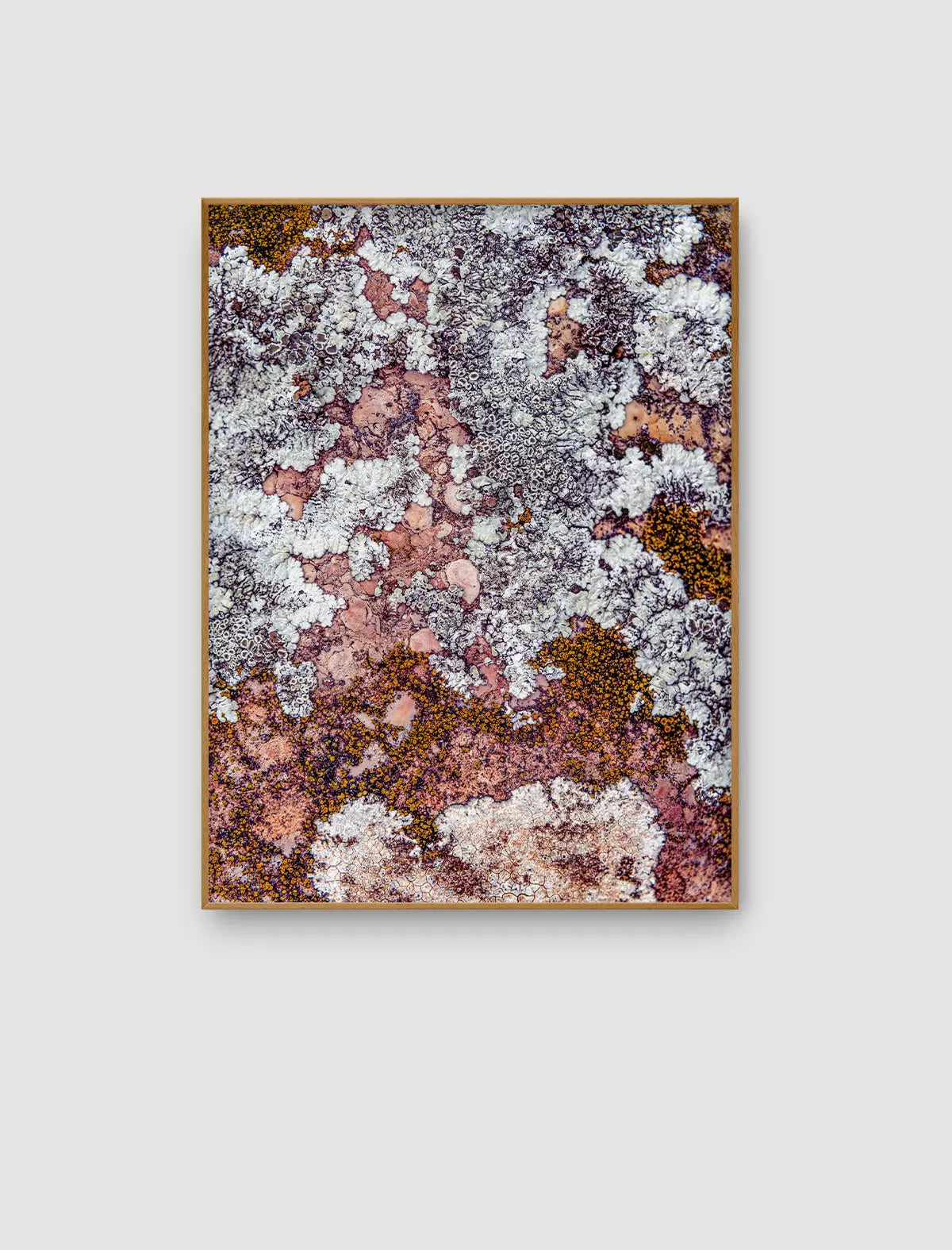 Rose Lichen Topography – abstraktes Naturporträt mit roséfarbenen Steinflächen von Sonja Priller.