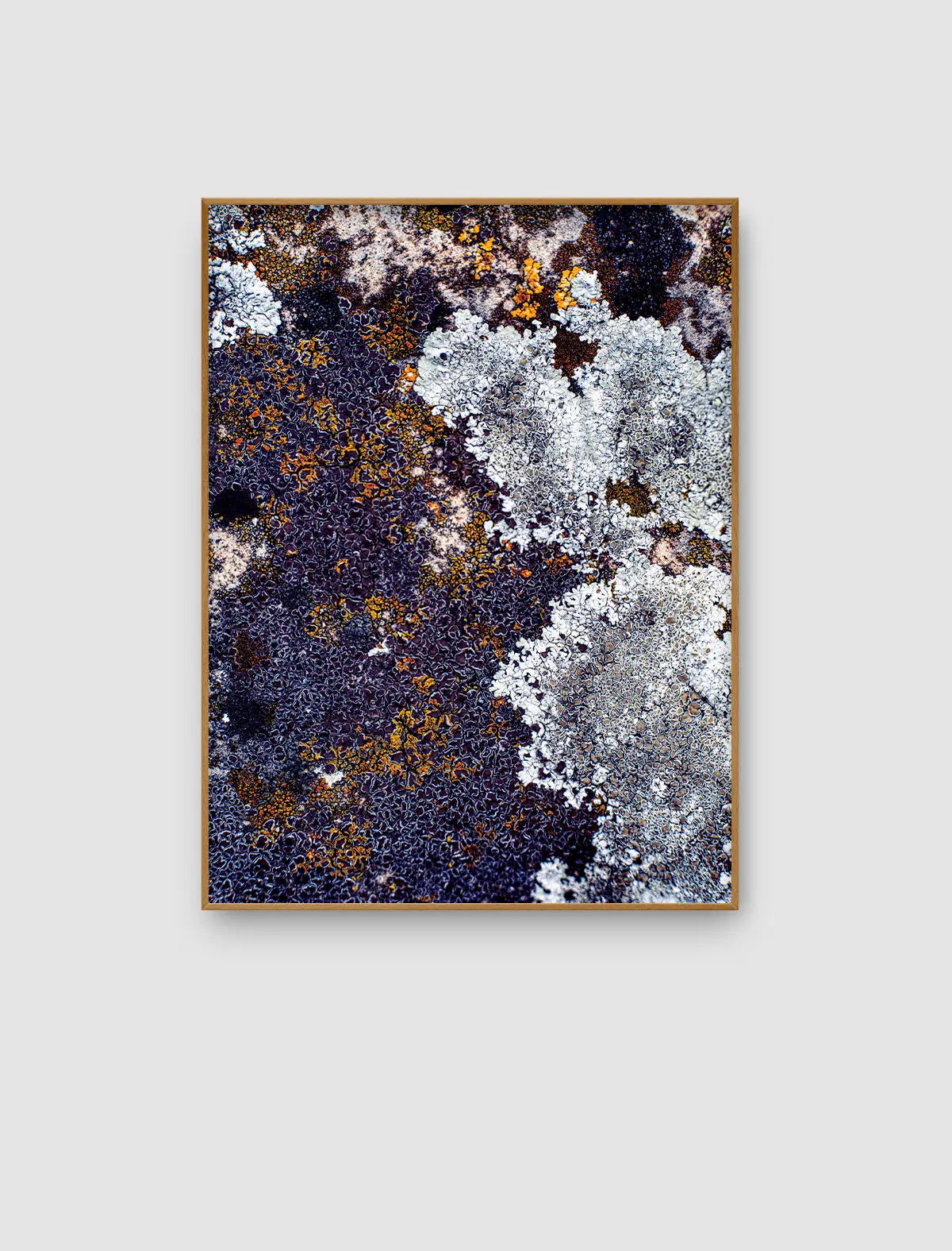 Nocturne Lichen Field – dunkles abstraktes Naturporträt mit flechtenartigen Strukturen von Sonja Priller.