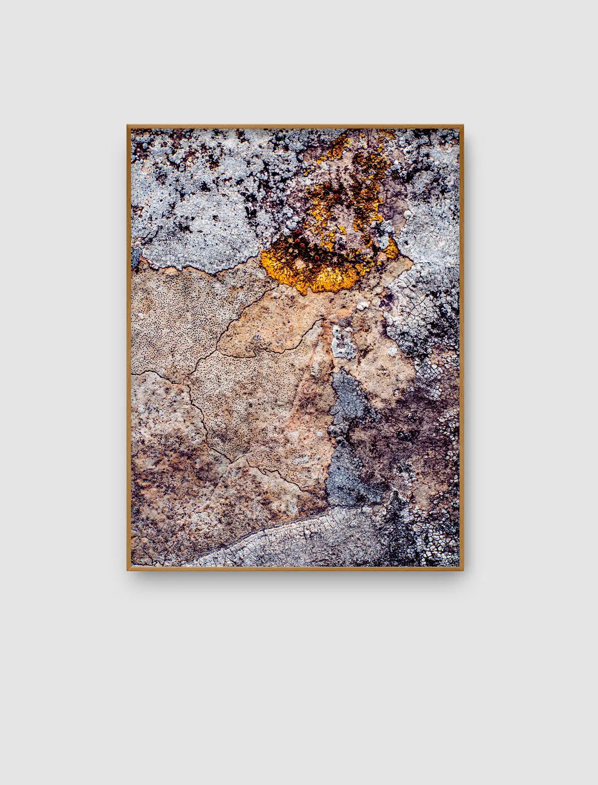 Mineral Threshold – abstraktes Naturporträt mit hellen Flechtenfeldern und Steinflächen von Sonja Priller.
