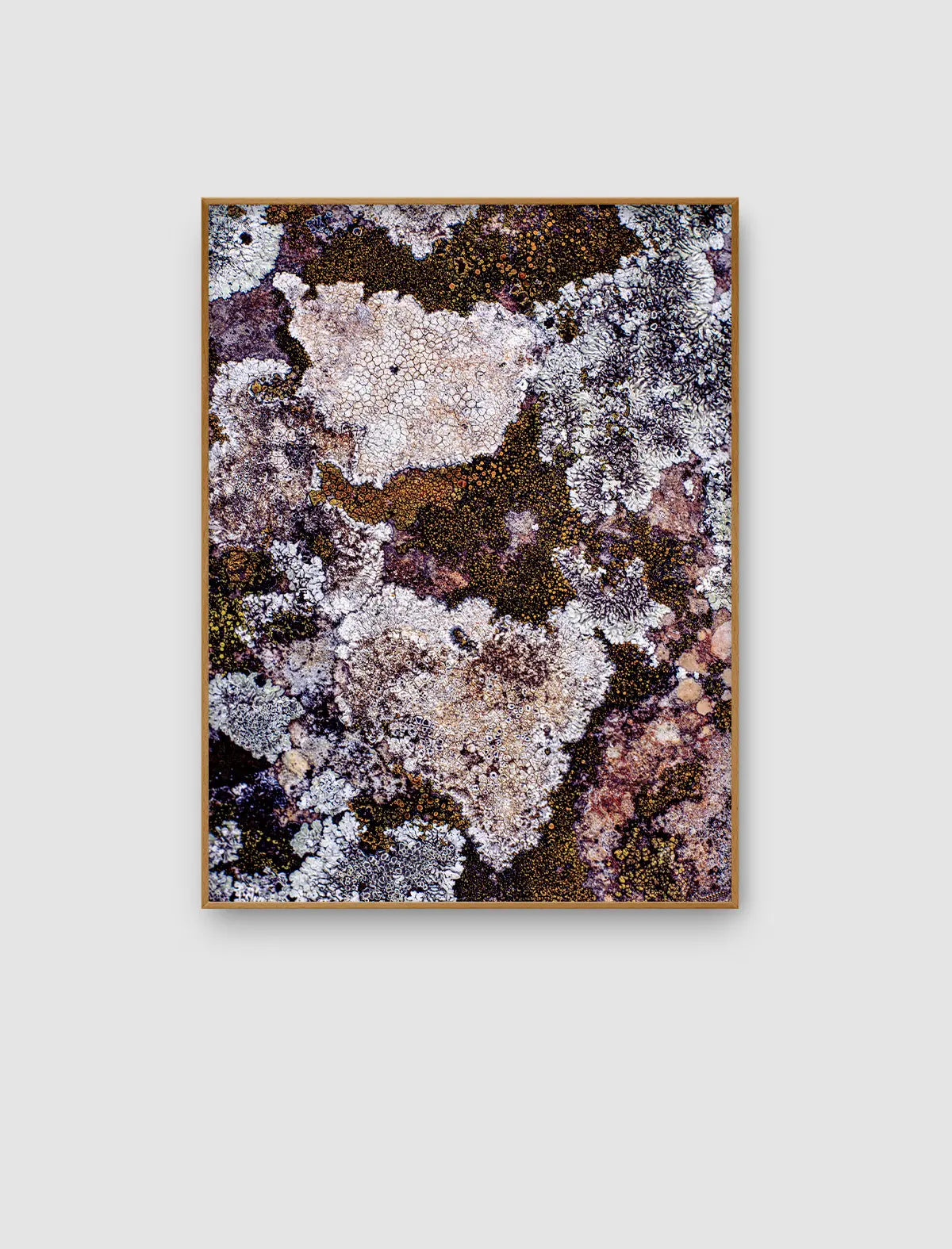 Ivory Lichen Atlas – helles abstraktes Naturporträt mit Elfenbeinflächen von Sonja Priller.