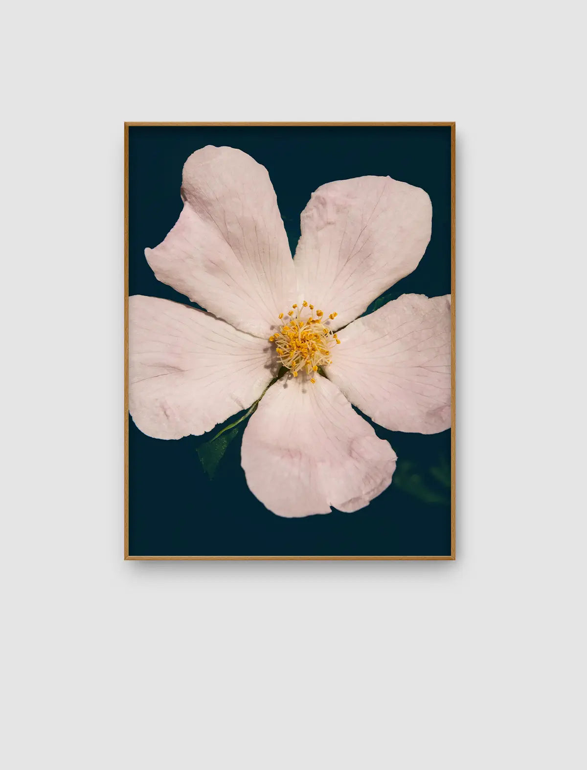 Quiet Wonder 05 – ruhiges florales Naturporträt mit sanfter Präsenz von Sonja Priller.