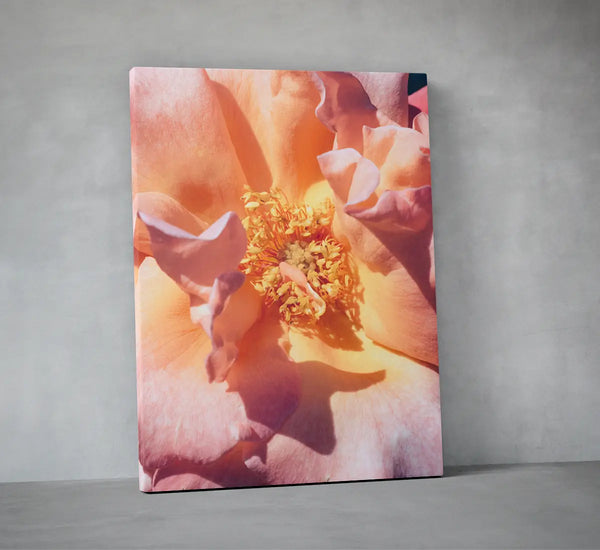 Bloom Study 01