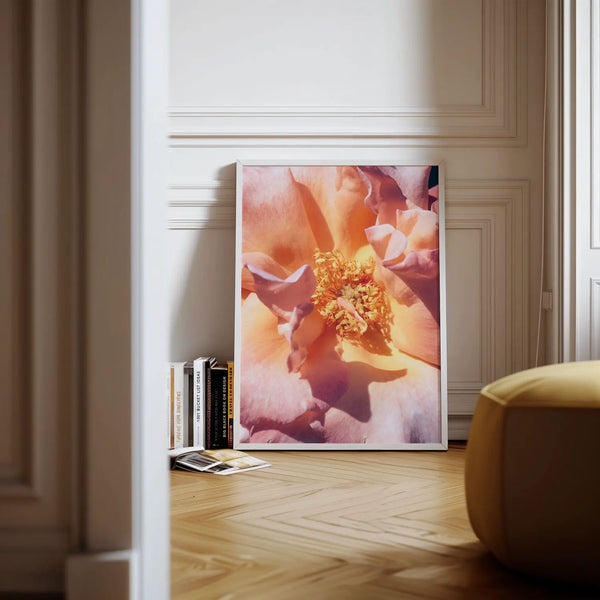 Bloom Study 01