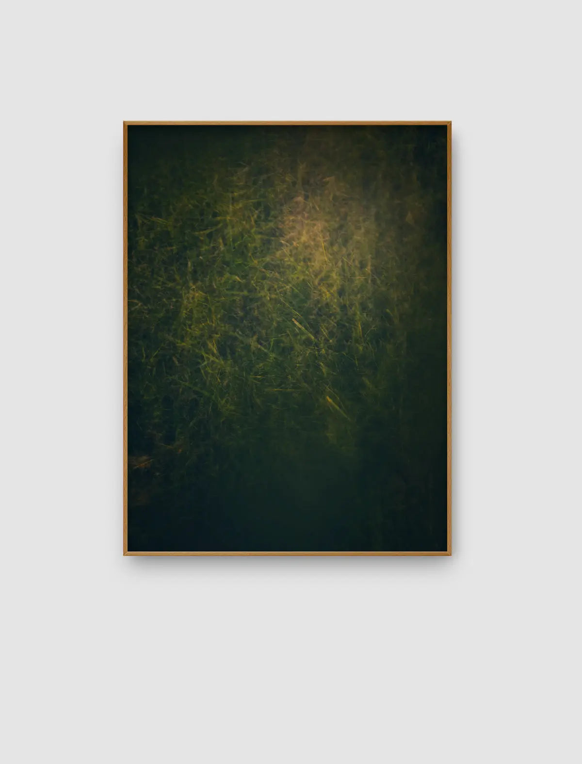 Verdant Glow – grünes atmosphärisches Naturbild mit sanftem Lichtschein von Sonja Priller.