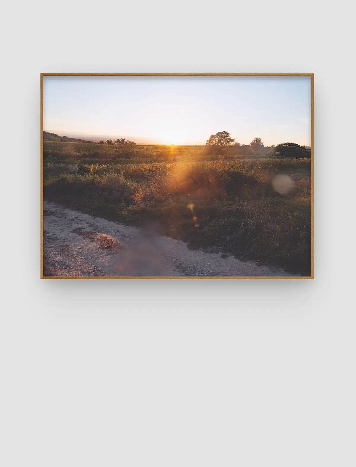 Sunset Field Horizon – weites Landschaftsbild im warmen Abendlicht von Sonja Priller.