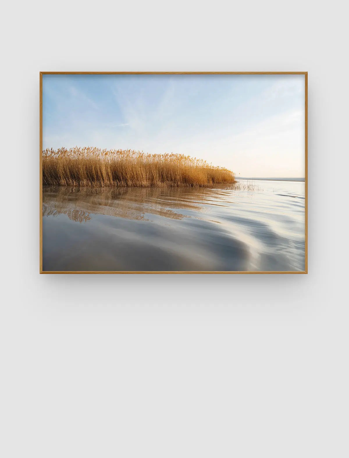 Reed Shore Stillness – stilles Ufermotiv mit Schilf und weitem Himmel von Sonja Priller.
