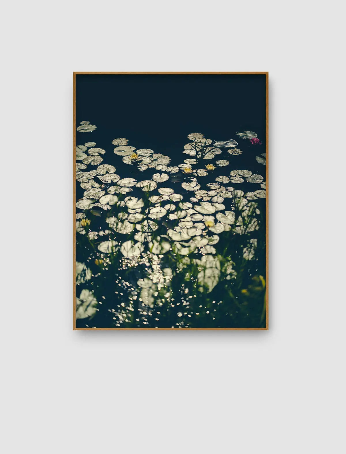 Dark Pond Stillness – stilles Wasserbild mit dunkler Fläche und hellen Schwimmblättern von Sonja Priller.