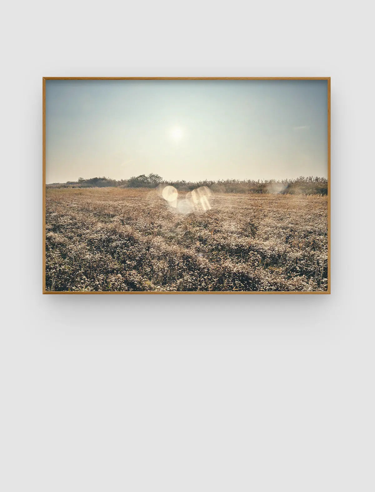 Open Meadow Radiance – weites Wiesenbild mit hellem Himmel und sanftem Sonnenlicht von Sonja Priller.