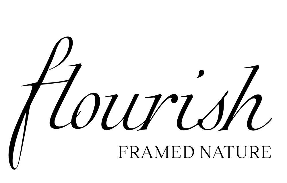 Flourish - Framed Nature®